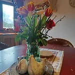 Holiday home U Lisciho Potoka - Chko Broumovsko *